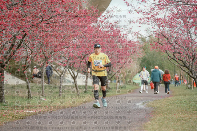 2026左岸竹東櫻花馬拉松Zhudong Sakura Marathon