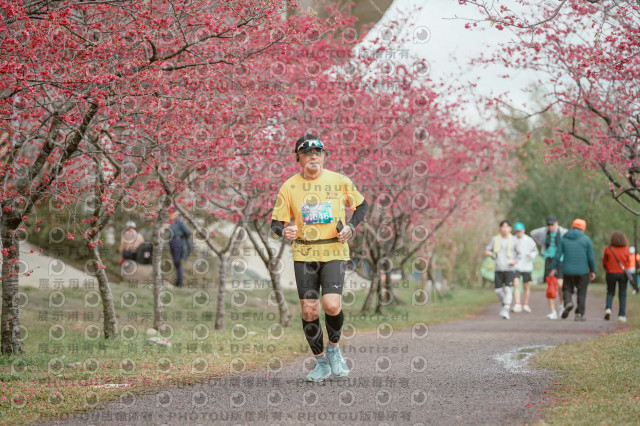 2026左岸竹東櫻花馬拉松Zhudong Sakura Marathon
