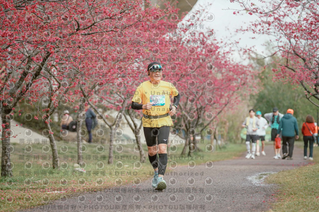 2026左岸竹東櫻花馬拉松Zhudong Sakura Marathon