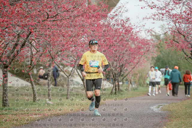 2026左岸竹東櫻花馬拉松Zhudong Sakura Marathon