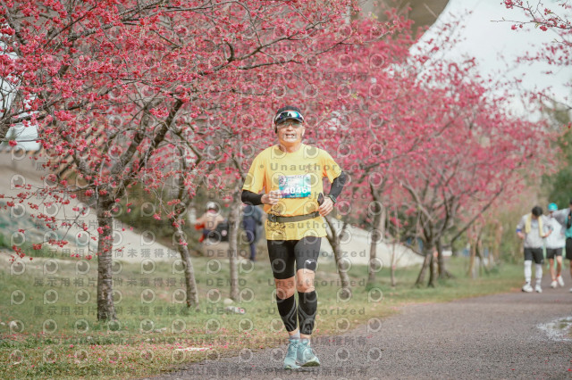 2026左岸竹東櫻花馬拉松Zhudong Sakura Marathon