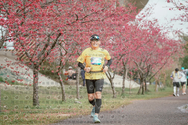 2026左岸竹東櫻花馬拉松Zhudong Sakura Marathon