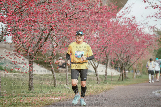 2026左岸竹東櫻花馬拉松Zhudong Sakura Marathon