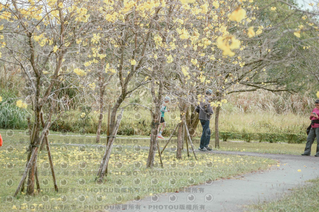 2026左岸竹東櫻花馬拉松Zhudong Sakura Marathon