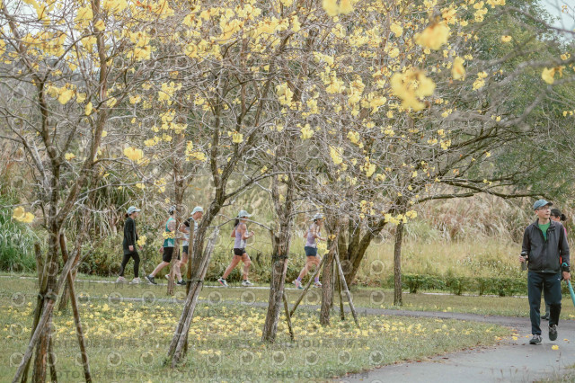 2026左岸竹東櫻花馬拉松Zhudong Sakura Marathon