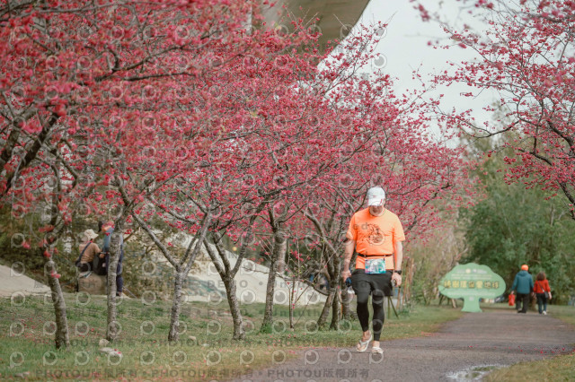 2026左岸竹東櫻花馬拉松Zhudong Sakura Marathon