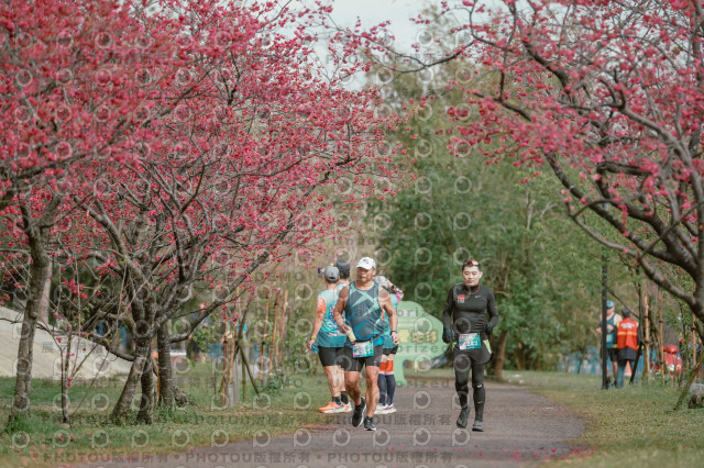 2026左岸竹東櫻花馬拉松Zhudong Sakura Marathon