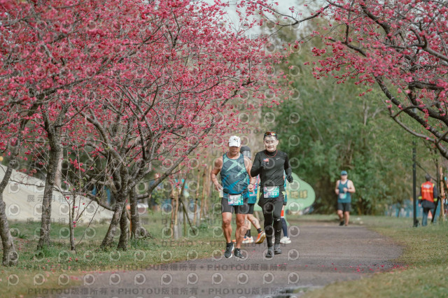 2026左岸竹東櫻花馬拉松Zhudong Sakura Marathon