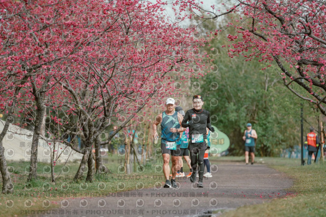2026左岸竹東櫻花馬拉松Zhudong Sakura Marathon