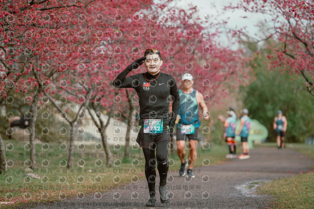 2026左岸竹東櫻花馬拉松Zhudong Sakura Marathon