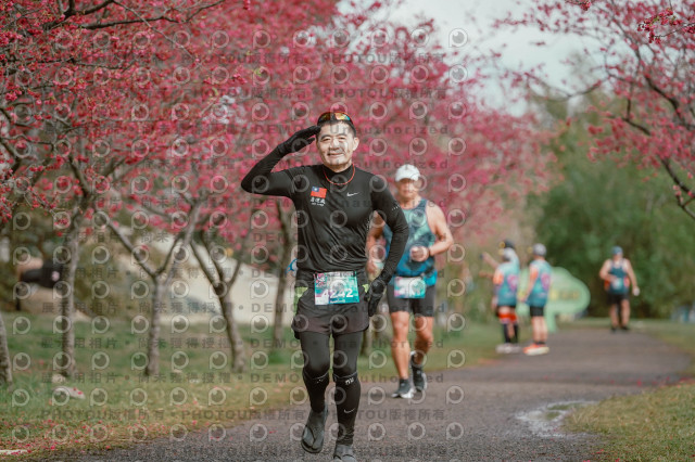 2026左岸竹東櫻花馬拉松Zhudong Sakura Marathon
