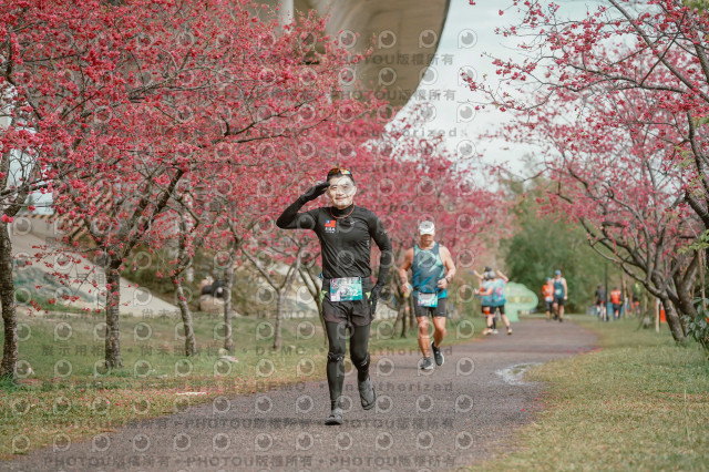 2026左岸竹東櫻花馬拉松Zhudong Sakura Marathon