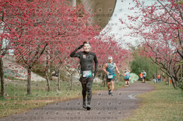 2026左岸竹東櫻花馬拉松Zhudong Sakura Marathon