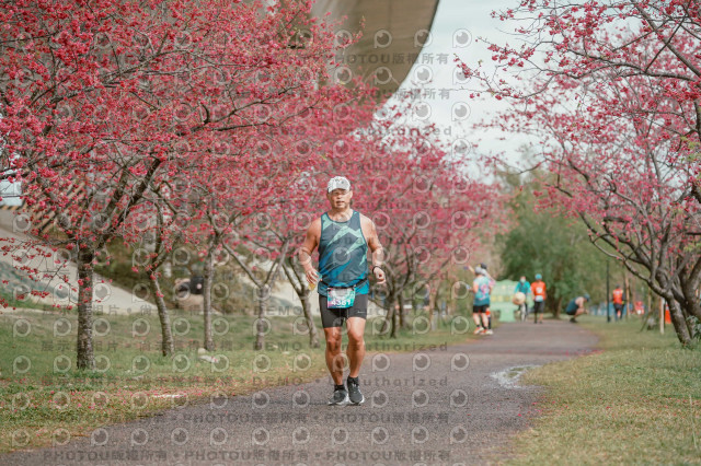 2026左岸竹東櫻花馬拉松Zhudong Sakura Marathon