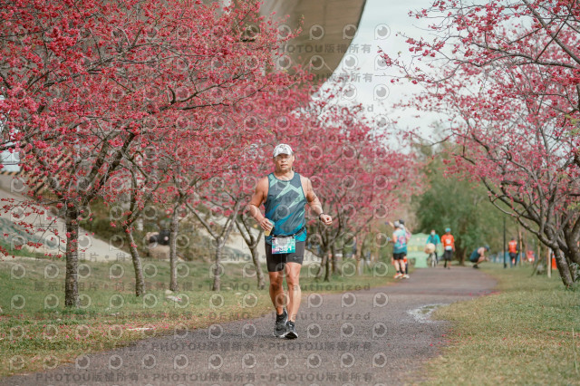 2026左岸竹東櫻花馬拉松Zhudong Sakura Marathon