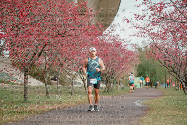 2026左岸竹東櫻花馬拉松Zhudong Sakura Marathon