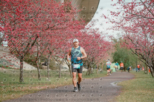 2026左岸竹東櫻花馬拉松Zhudong Sakura Marathon