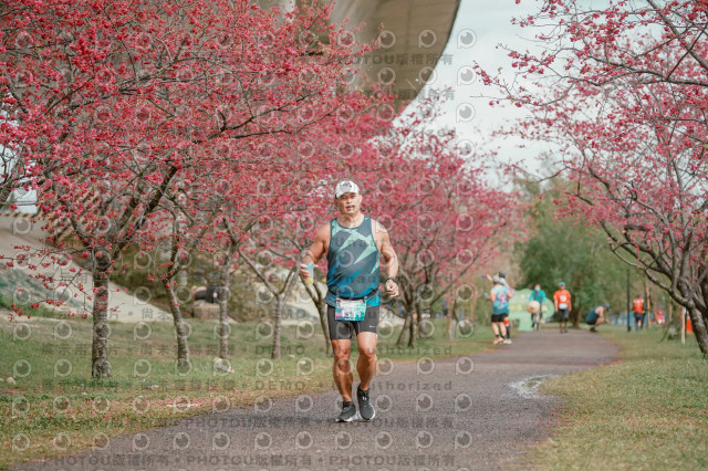 2026左岸竹東櫻花馬拉松Zhudong Sakura Marathon