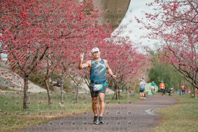 2026左岸竹東櫻花馬拉松Zhudong Sakura Marathon