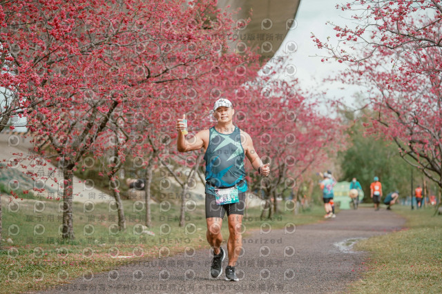 2026左岸竹東櫻花馬拉松Zhudong Sakura Marathon