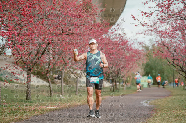 2026左岸竹東櫻花馬拉松Zhudong Sakura Marathon