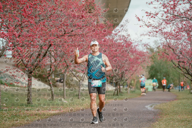 2026左岸竹東櫻花馬拉松Zhudong Sakura Marathon