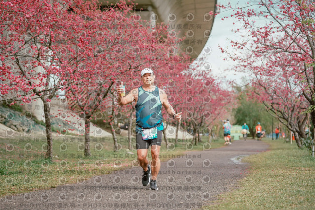 2026左岸竹東櫻花馬拉松Zhudong Sakura Marathon