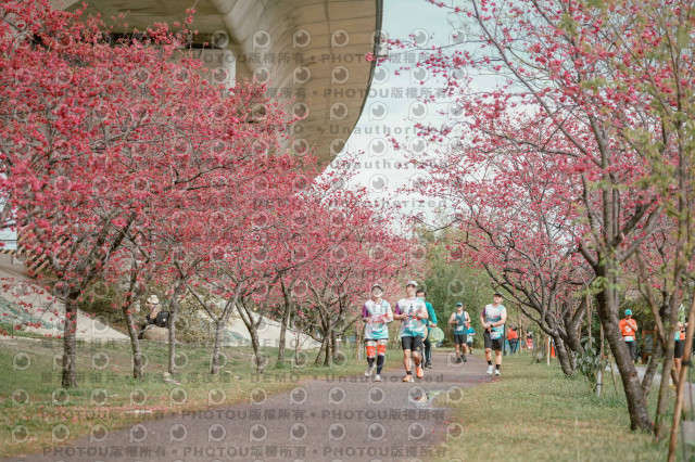 2026左岸竹東櫻花馬拉松Zhudong Sakura Marathon