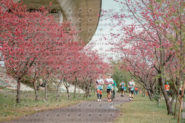 2026左岸竹東櫻花馬拉松Zhudong Sakura Marathon