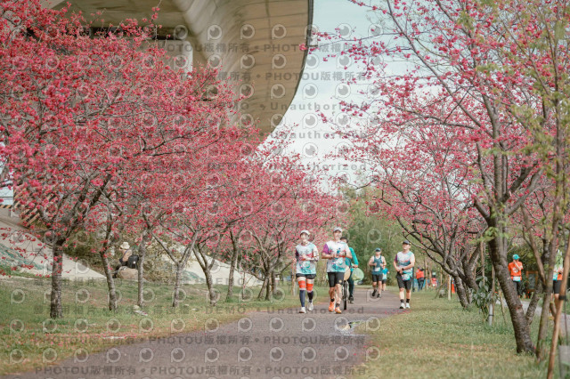 2026左岸竹東櫻花馬拉松Zhudong Sakura Marathon