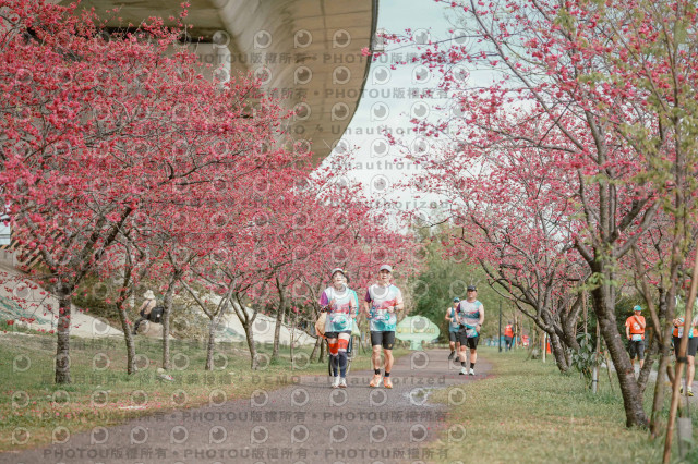 2026左岸竹東櫻花馬拉松Zhudong Sakura Marathon