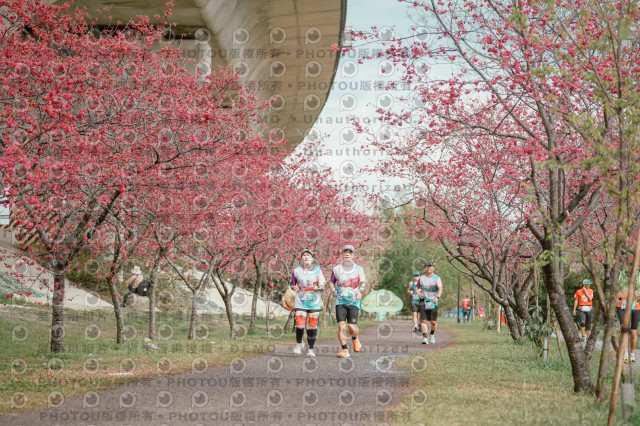 2026左岸竹東櫻花馬拉松Zhudong Sakura Marathon