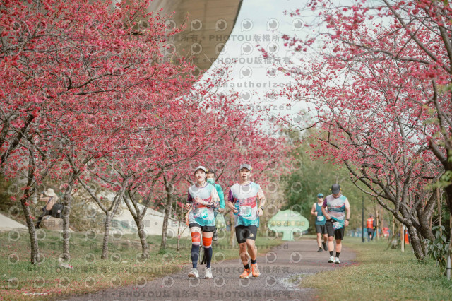 2026左岸竹東櫻花馬拉松Zhudong Sakura Marathon