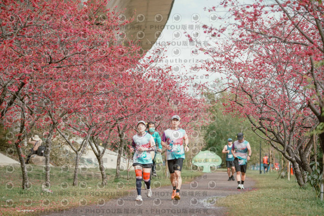 2026左岸竹東櫻花馬拉松Zhudong Sakura Marathon