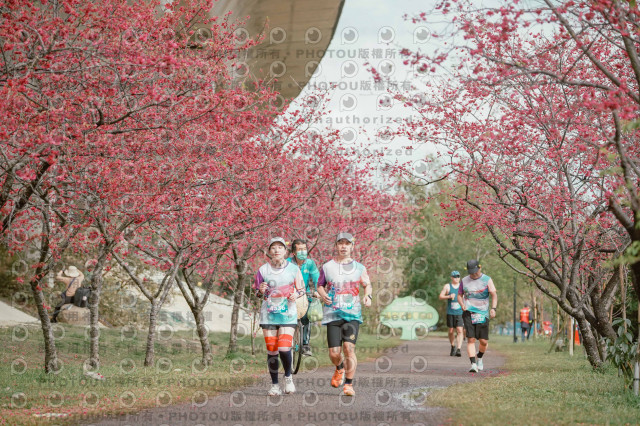 2026左岸竹東櫻花馬拉松Zhudong Sakura Marathon