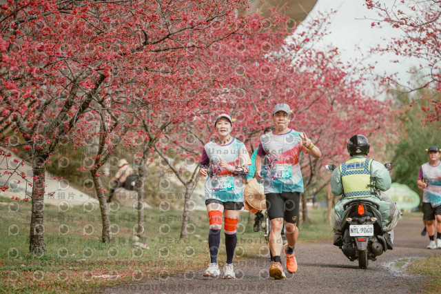 2026左岸竹東櫻花馬拉松Zhudong Sakura Marathon