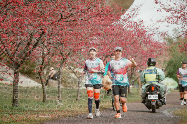 2026左岸竹東櫻花馬拉松Zhudong Sakura Marathon