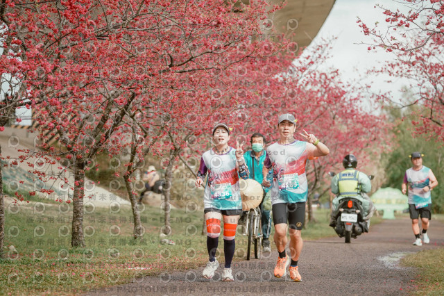 2026左岸竹東櫻花馬拉松Zhudong Sakura Marathon