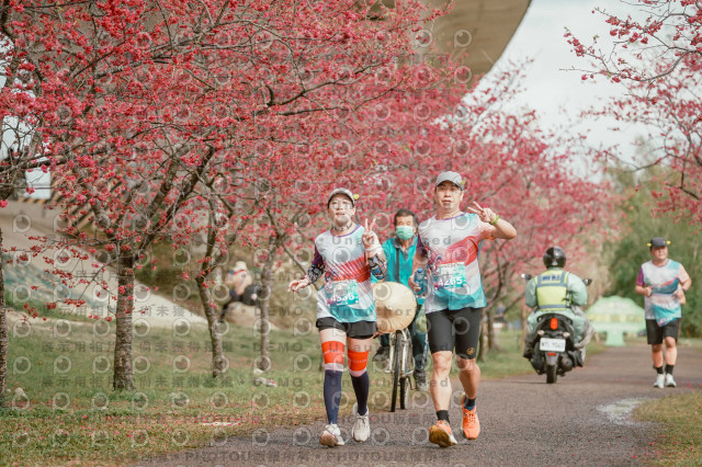 2026左岸竹東櫻花馬拉松Zhudong Sakura Marathon