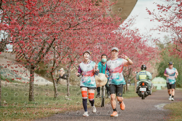 2026左岸竹東櫻花馬拉松Zhudong Sakura Marathon