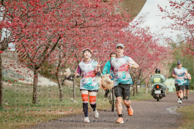 2026左岸竹東櫻花馬拉松Zhudong Sakura Marathon