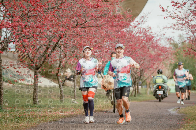 2026左岸竹東櫻花馬拉松Zhudong Sakura Marathon