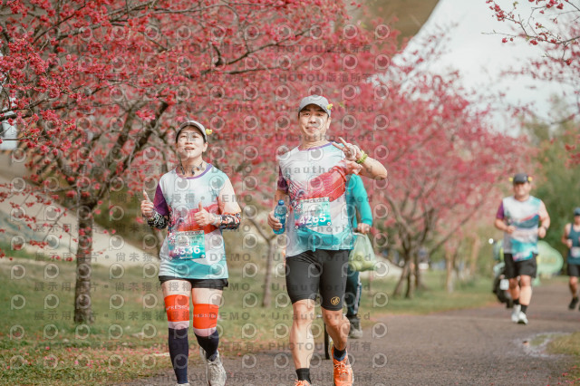 2026左岸竹東櫻花馬拉松Zhudong Sakura Marathon