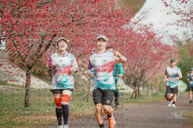 2026左岸竹東櫻花馬拉松Zhudong Sakura Marathon
