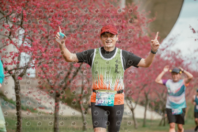 2026左岸竹東櫻花馬拉松Zhudong Sakura Marathon