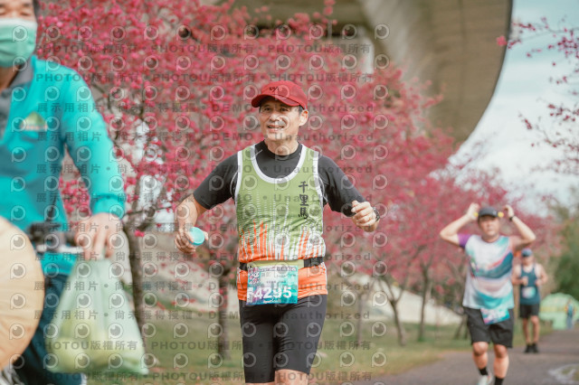2026左岸竹東櫻花馬拉松Zhudong Sakura Marathon