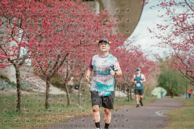 2026左岸竹東櫻花馬拉松Zhudong Sakura Marathon