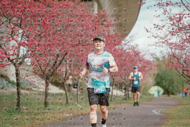 2026左岸竹東櫻花馬拉松Zhudong Sakura Marathon