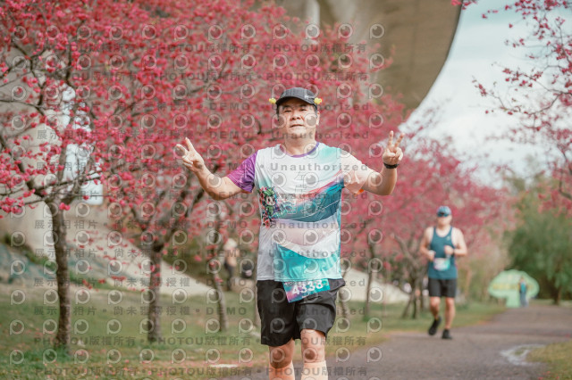 2026左岸竹東櫻花馬拉松Zhudong Sakura Marathon
