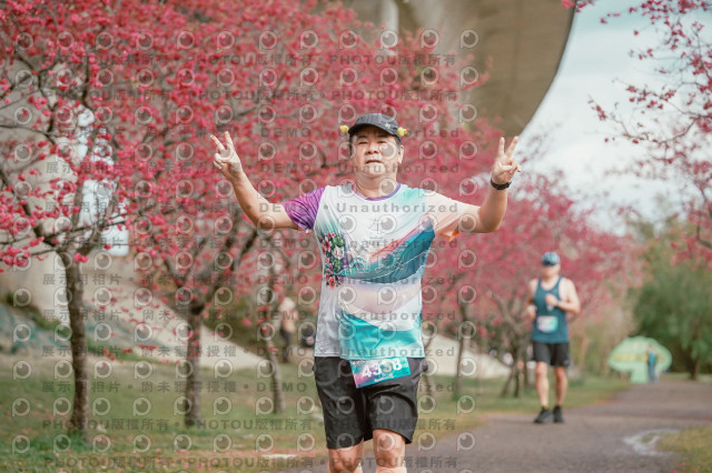 2026左岸竹東櫻花馬拉松Zhudong Sakura Marathon